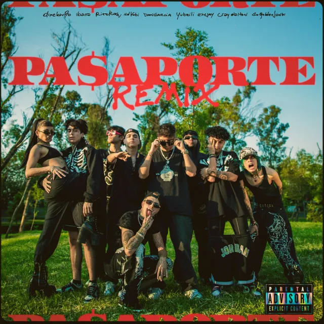 Pasaporte (Remix)