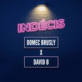 Indecis by David B