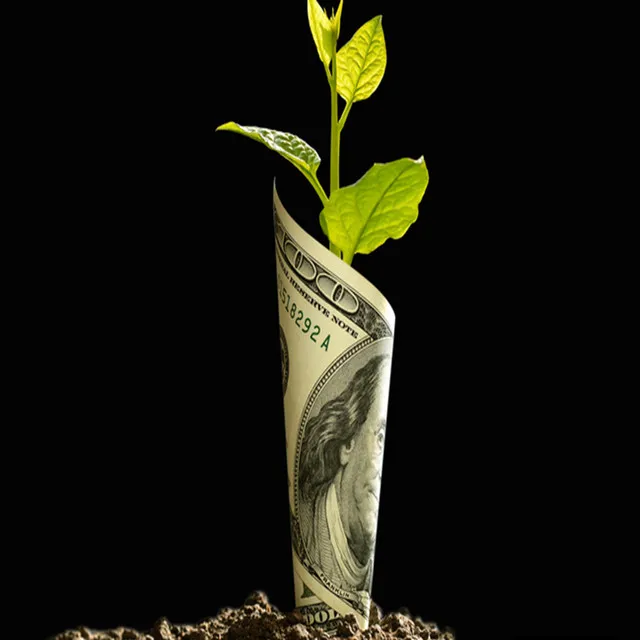 Money Grow