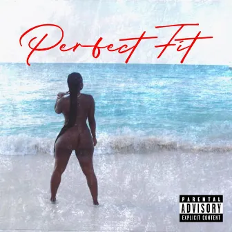 Perfect Fit (Risk It All) by Ju$t Lee