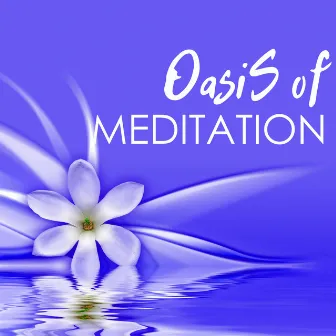 Oasis of Meditation - White Noise Therapy, Deep Sleep Massage Music for Calm Relaxation by Essence Reliford