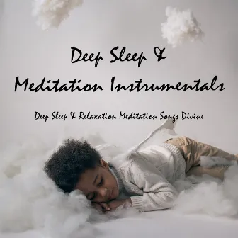 Deep Sleep & Meditation Instrumentals by Deep Sleep & Relaxation Meditation Songs Divine