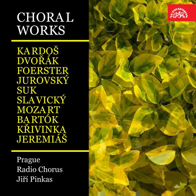 Choral Works (Kardoš, Dvořák, Foerster, Jurovský, Suk, Slavický, Mozart, Bartók, Křivinka, Jeremiáš)