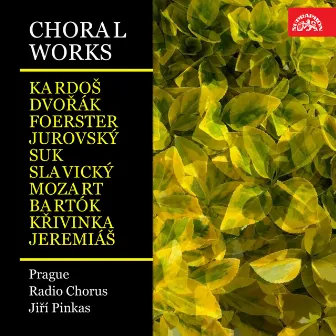 Choral Works (Kardoš, Dvořák, Foerster, Jurovský, Suk, Slavický, Mozart, Bartók, Křivinka, Jeremiáš) by Czech Radio Chorus