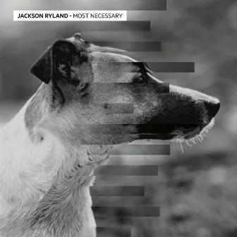 Most Necessary EP by Jackson Ryland