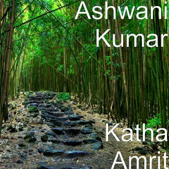 Katha Amrit by Ashwani Kumar