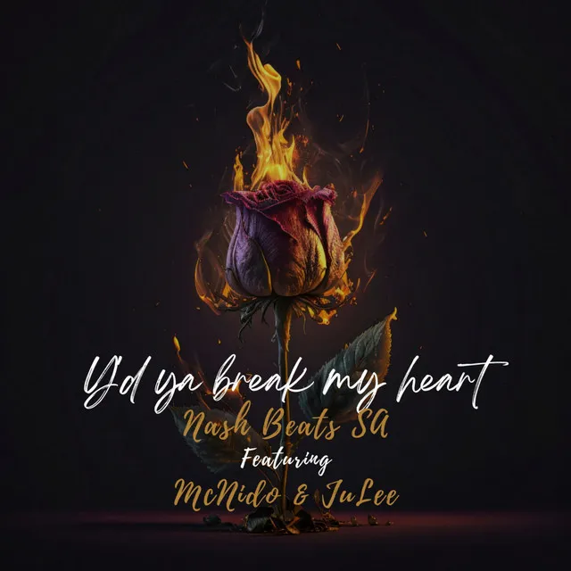 Y'd Ya Break My Heart - Radio Edit