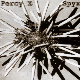 Spy X by Percy X