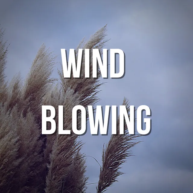 Wind Blowing