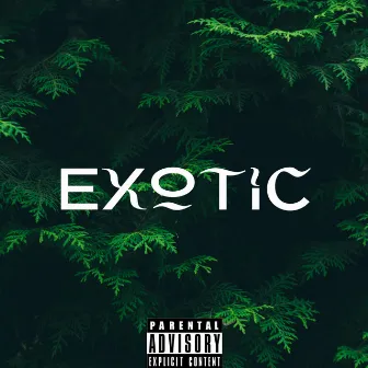 Exotic by Kartel G