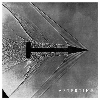 Aftertime by Roly Porter