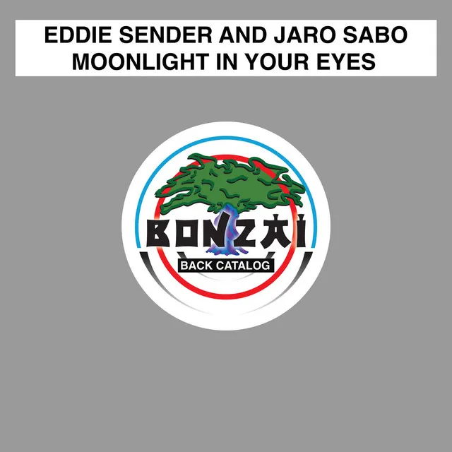 Moonlight In Your Eyes - Original Mix