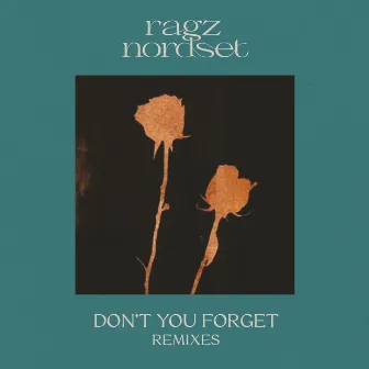 Don't You Forget - Remixes by Drumwarp