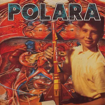 Polara by Polara