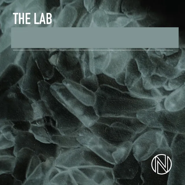 The Lab