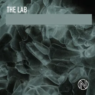 The Lab by Mark Fabian