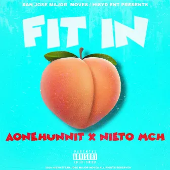 Fit in by Aonehunnit