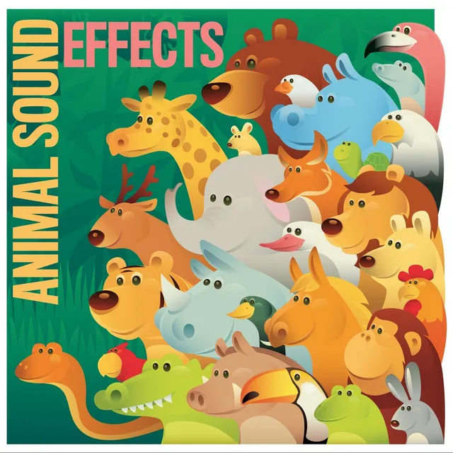 The Sounds of Animals-Sound Effects