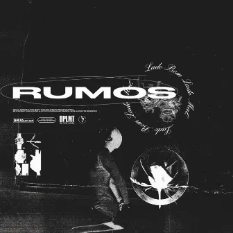 Rumos by Nulo