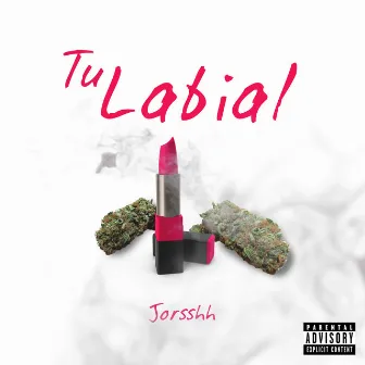 TU LABIAL by Jorsshh