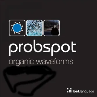 Organic Waveforms (Alternate Version) by Probspot