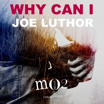 Why Can I - Single by Joe Luthor