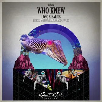 Who Knew by Long & Harris