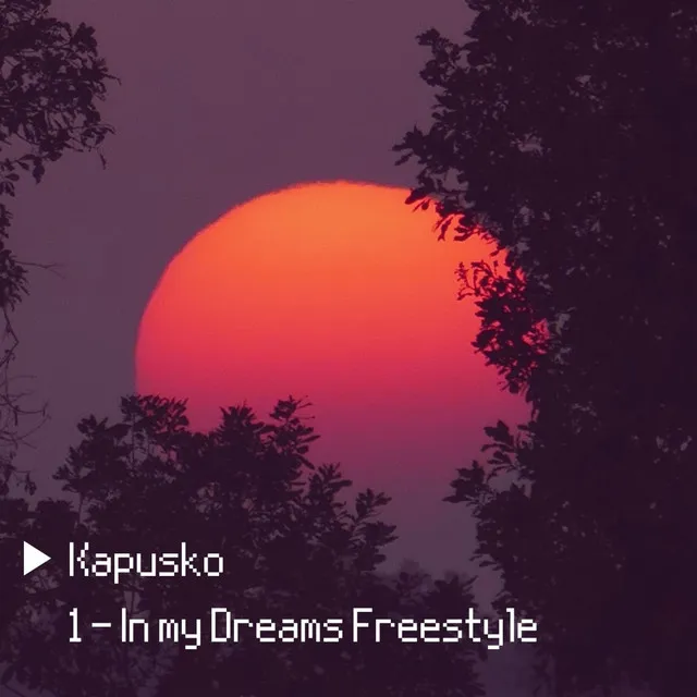 In my Dreams - Freestyle