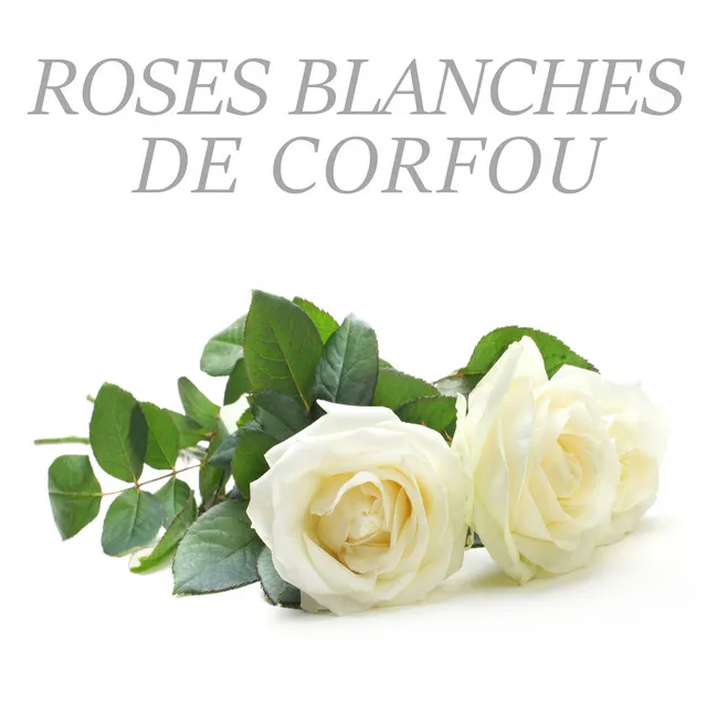 Roses blanches de Corfou