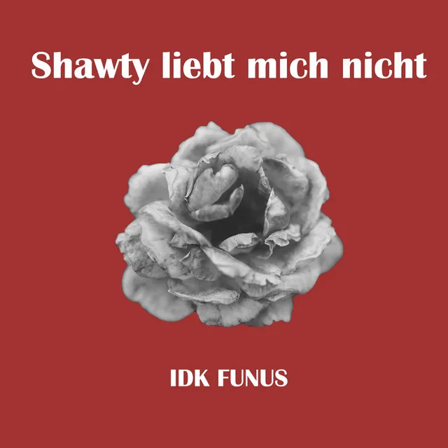 Shawty liebt mich nicht