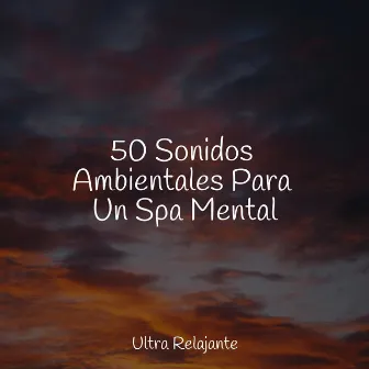 50 Sonidos Ambientales Para Un Spa Mental by Naturaleza Relajacion