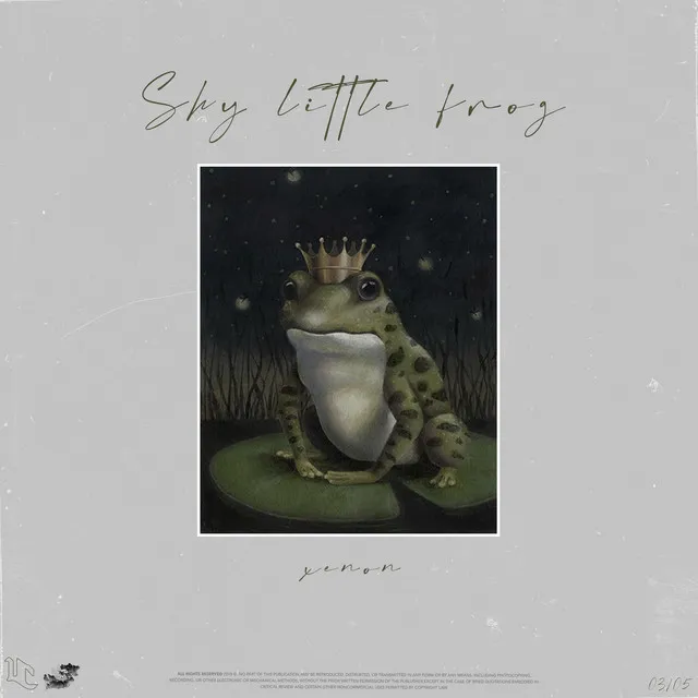 Shy Little Frog - remix