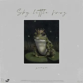 Shy Little Frog (remix) by Usagi Collective