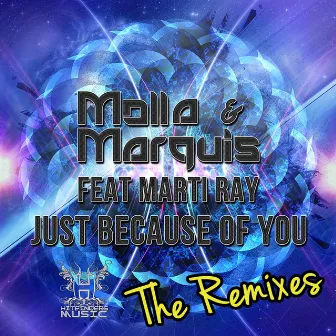 Just Because Of You (The Remixes) by Marti Ray