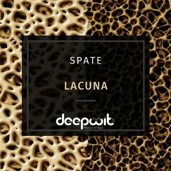 Lacuna by Spate