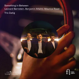 Something in Between by Trio Zadig