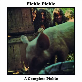 A Complete Pickle by Fickle Pickle