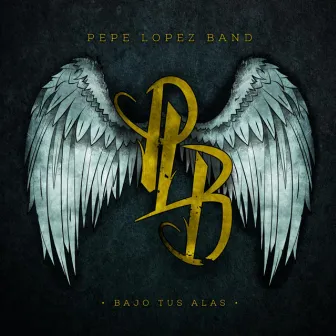 Bajo tus Alas by Pepe Lopez Band