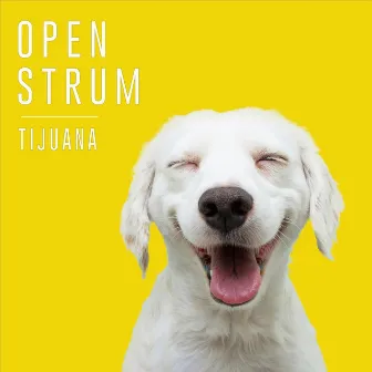 Tijuana by Open Strum