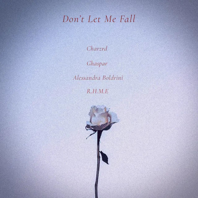 Don't Let Me Fall