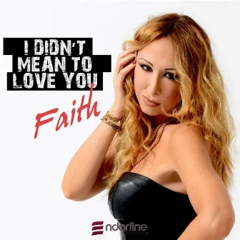 I Didn't Mean to Love You by Faith