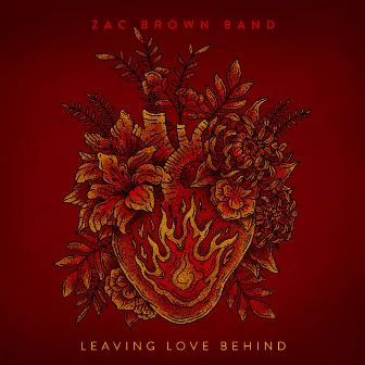 Leaving Love Behind / Someone I Used to Know by Zac Brown Band