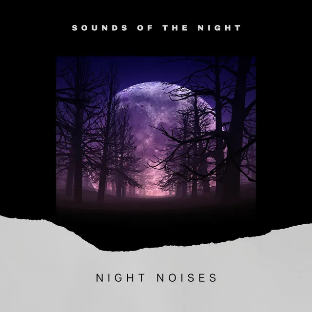 Night Noises (Different Wather)