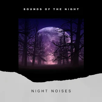 Night Noises (Different Wather) by Sounds of the Night