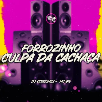 Forrozinho Culpa da Cachaça by DJ Steniomiix