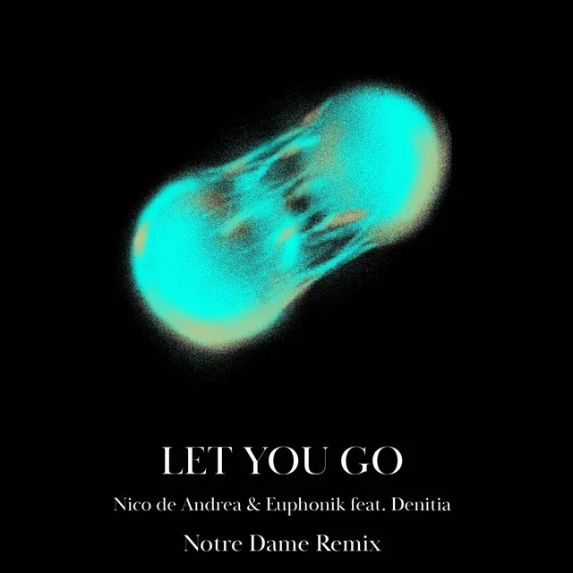 Let You Go - Notre Dame Remix