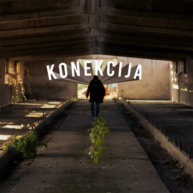 Konekcija