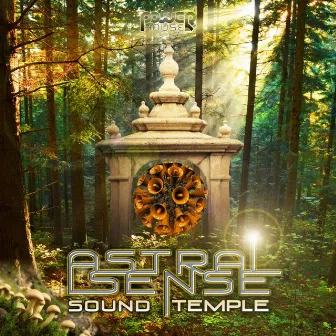 Sound Temple by Astral Sense