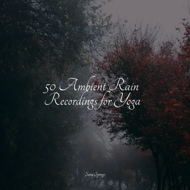 50 Ambient Rain Recordings for Yoga