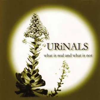 What Is Real and What Is Not by Urinals